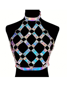 29. Hologram harness