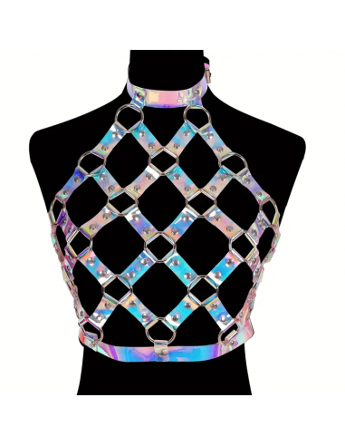 29. Hologram harness
